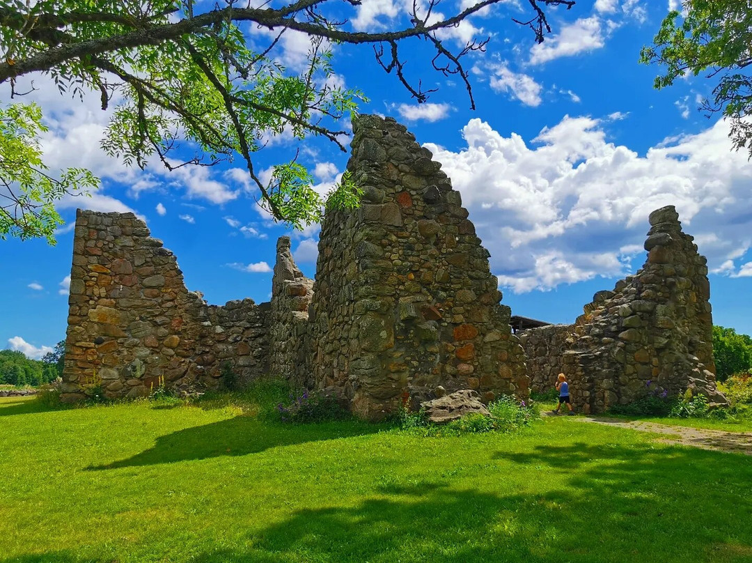 Kronobäcks Klosterkyrkoruin