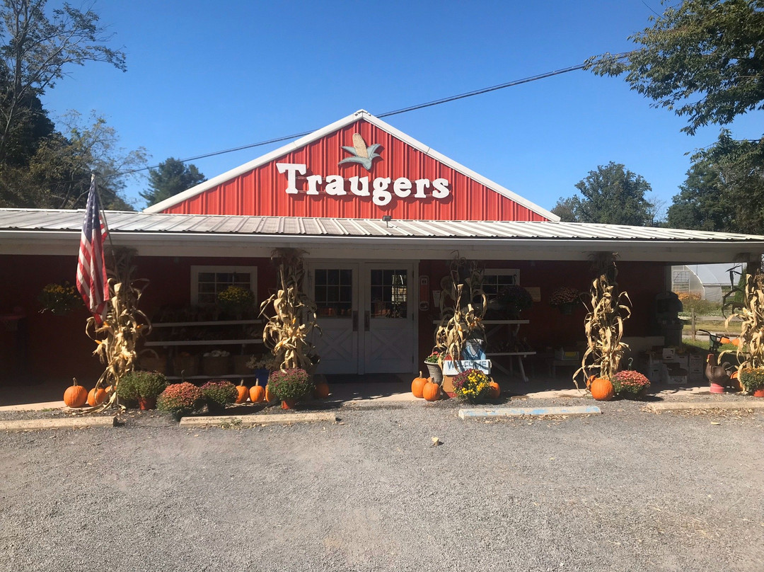 Trauger's Farm Market景点图片