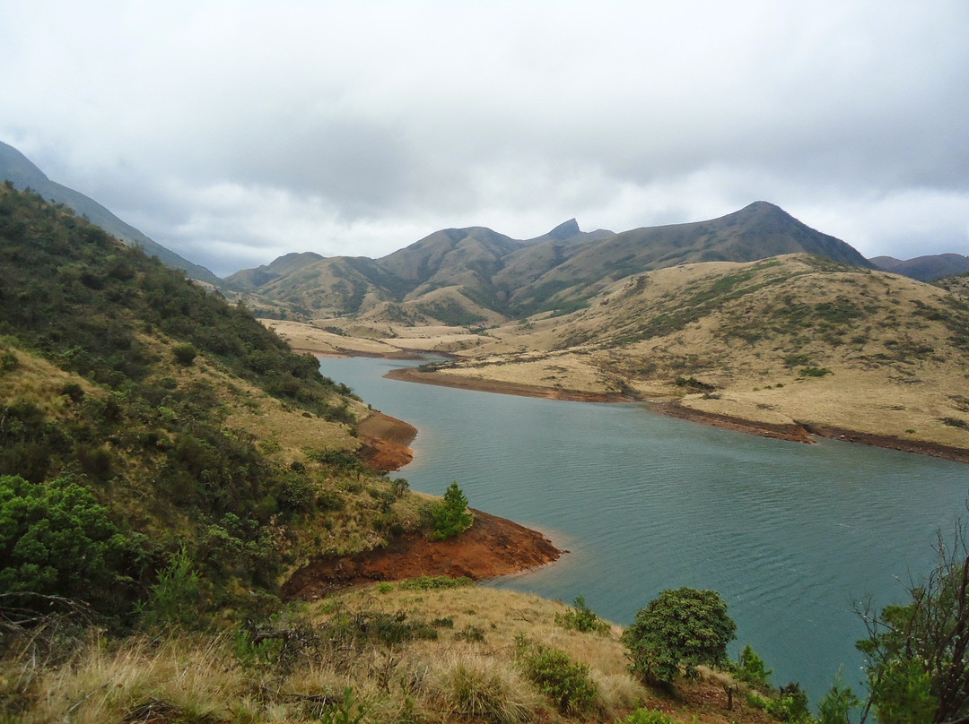 Mukurthi National Park景点图片