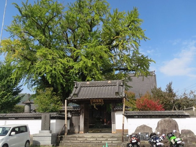 Myogyo-ji Temple景点图片