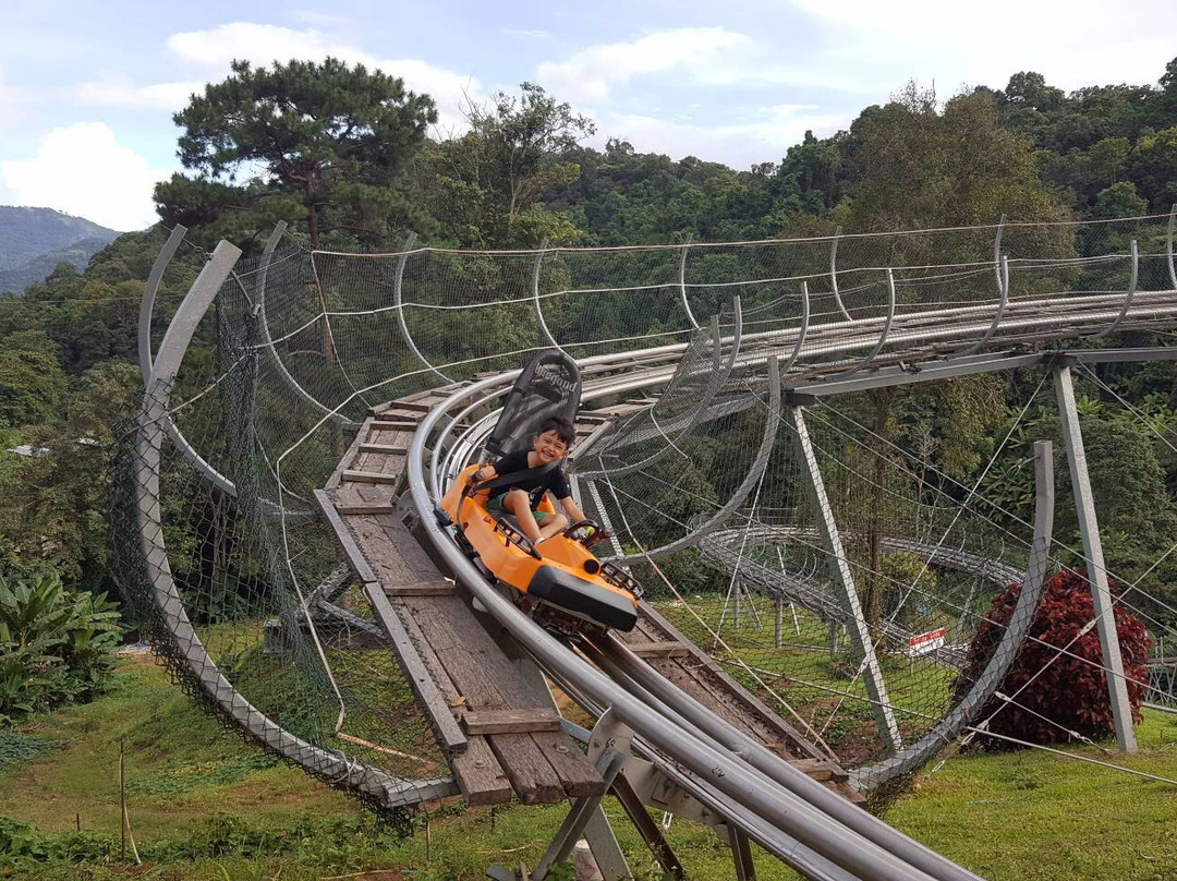 Pongyang Zipline and Jungle Coaster景点图片
