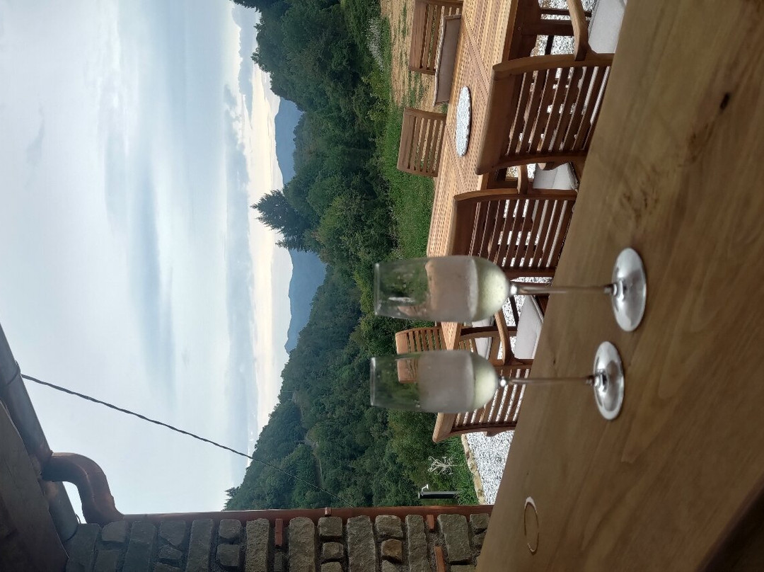 Leon Morto Bed & Breakfast