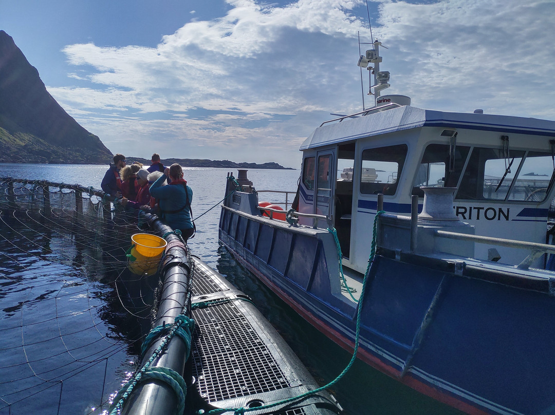 Lofoten Seafood景点图片