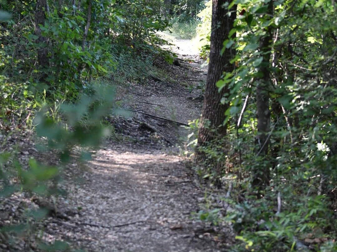 Eisenhower State Park-丹尼森必去景点