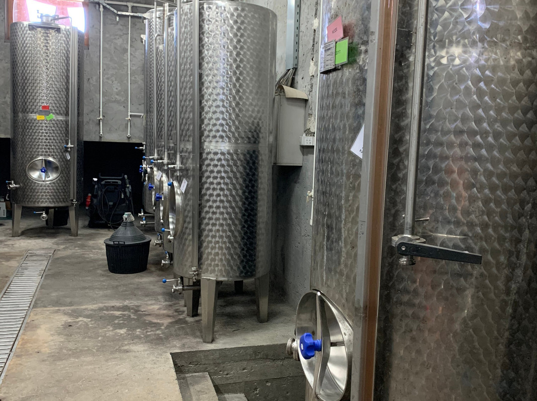 Vinarija Dragić景点图片