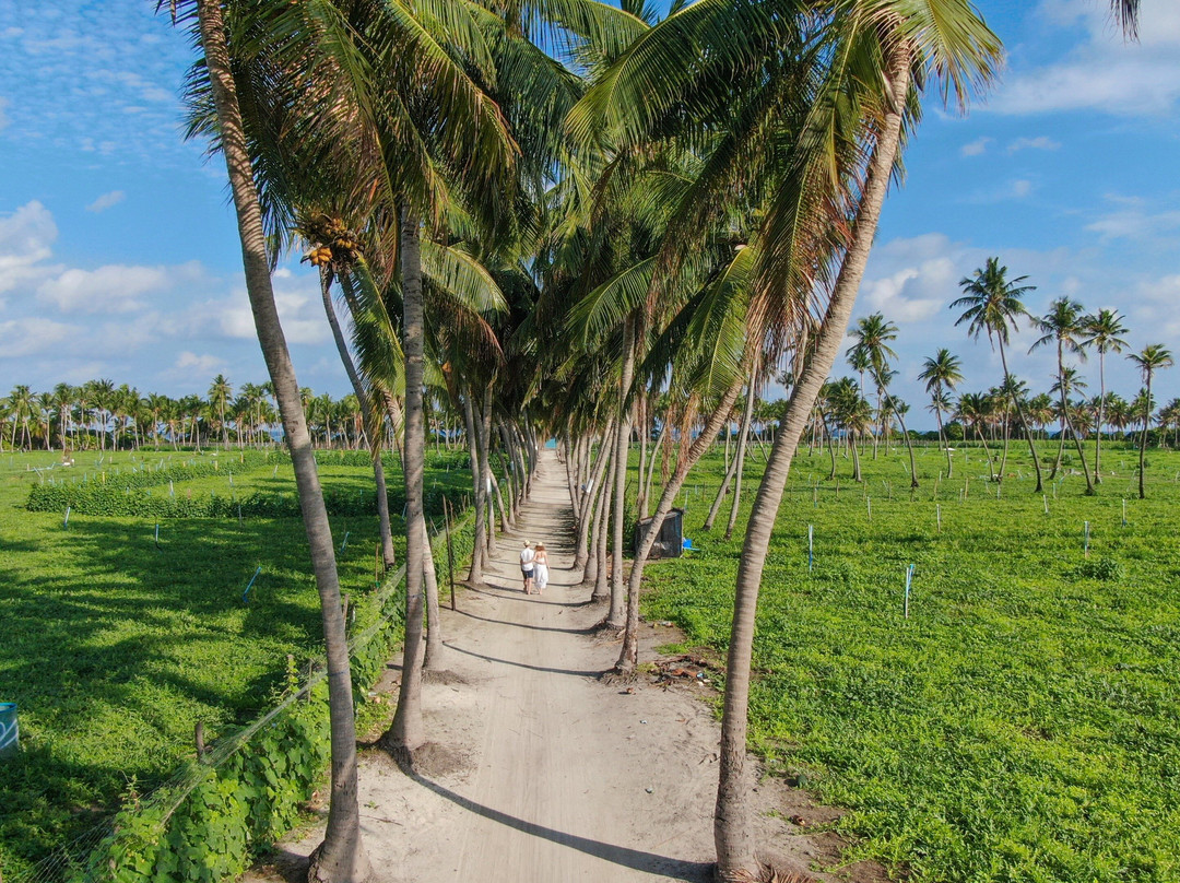 All-Inclusive Maldives Holidays景点图片