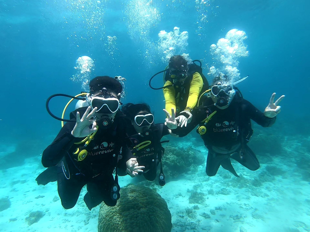 Blue Revival Diving-邦劳岛必去景点