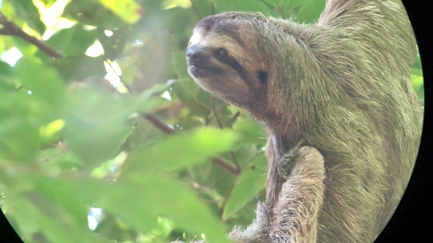 Tulemar Bungalows & Villas-浴室