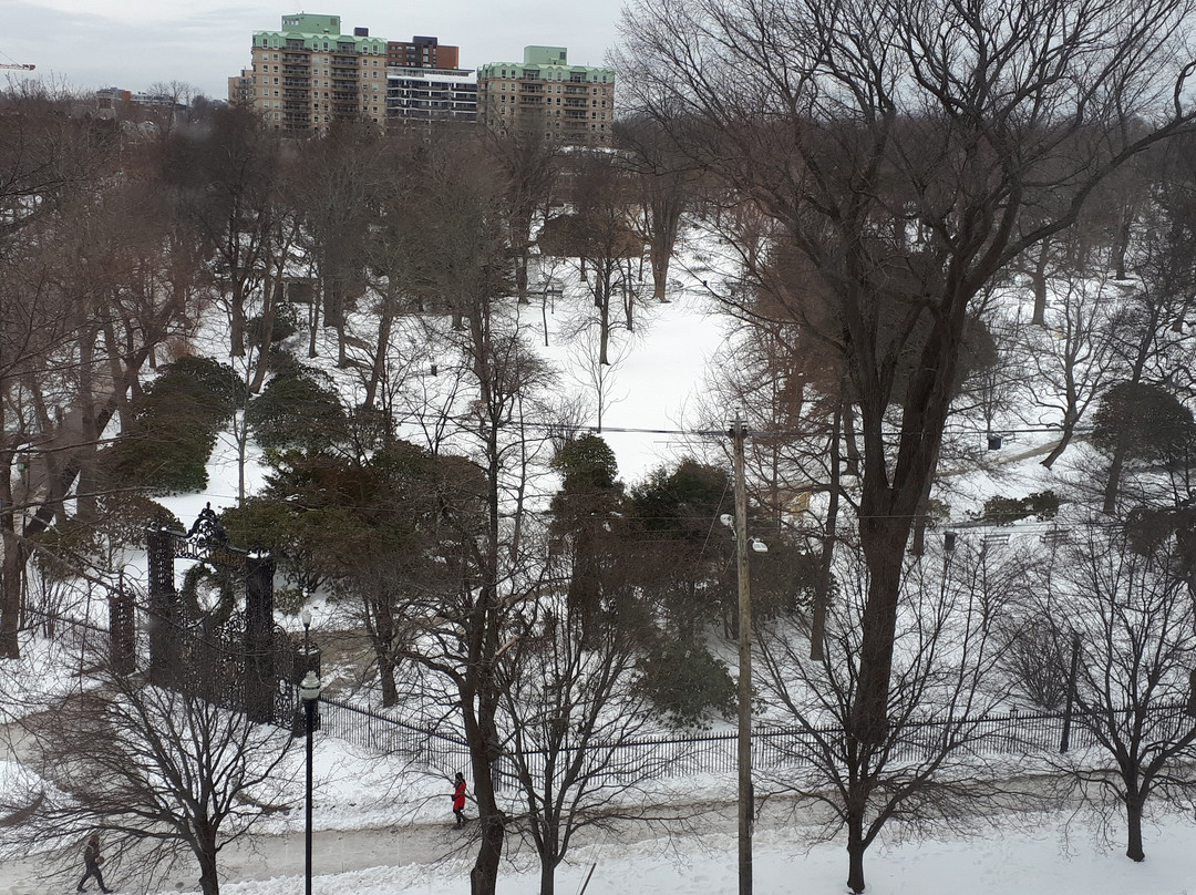 尼尔森勋爵酒店及套房主图