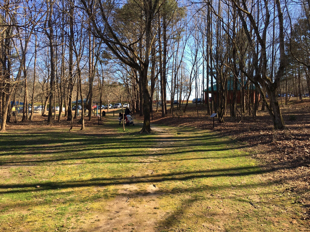 Shakerag Park-约翰斯克里克必去景点