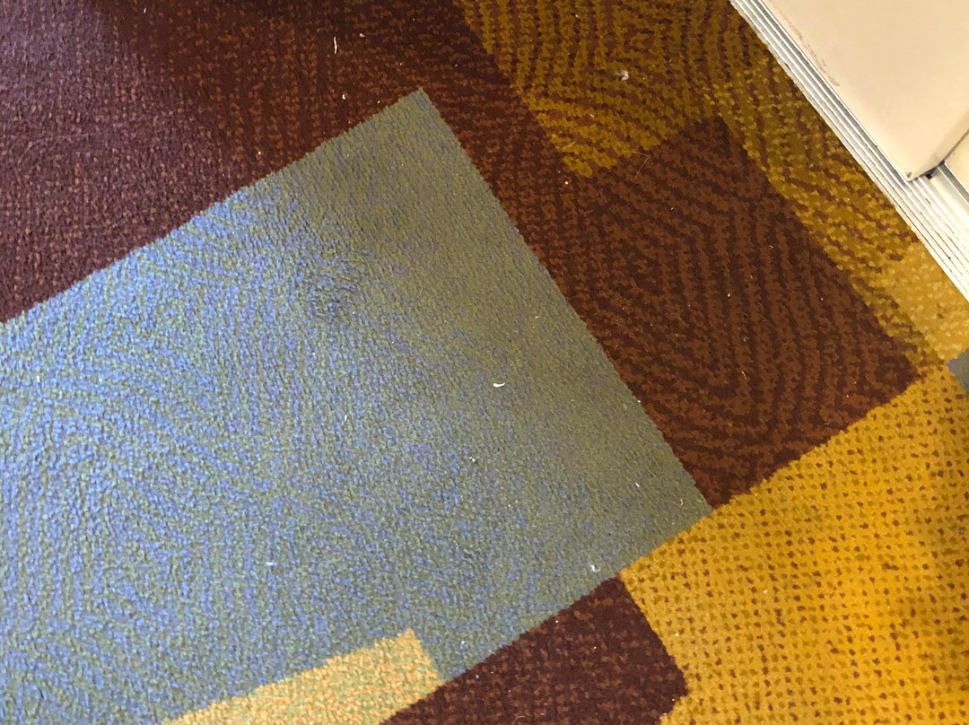 费尔菲尔德客栈及万豪图斯顶奥兰治乡村酒店主图