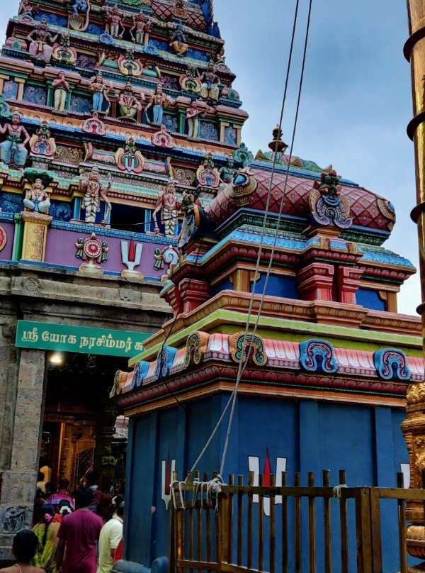 Arulmigu Thiruvallikeni Parthasarathy Temple景点图片