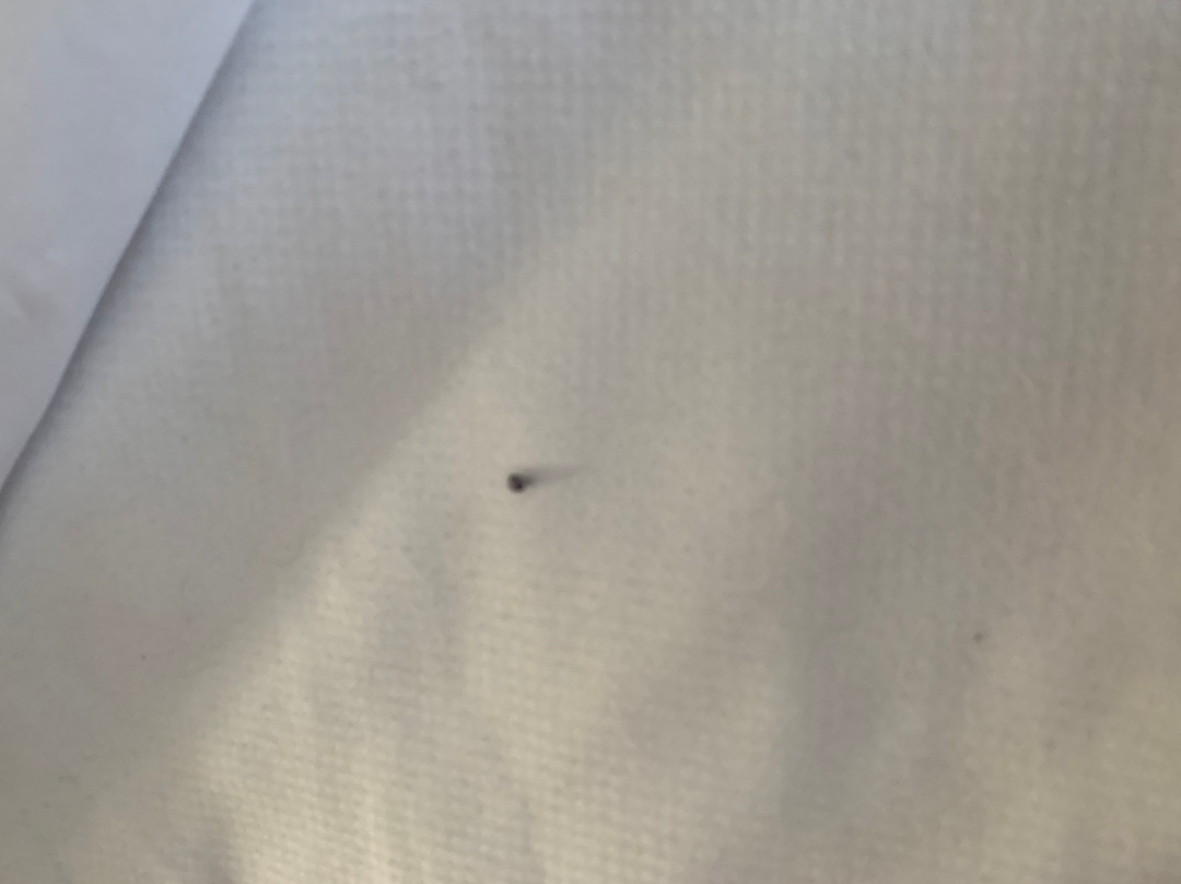 Comfort Inn Augusta主图