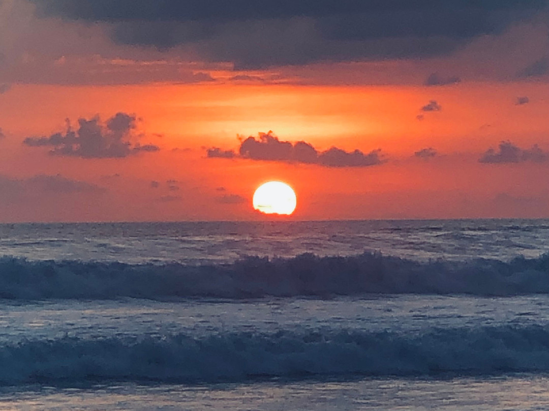 Ollie's Adventures-圣特雷莎必去景点