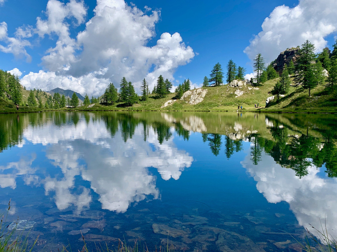 Fulvia Girardi Guida Escursionistica e Accompagnatore Turistico-Acceglio必去景点