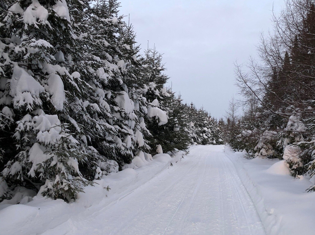 The  Northern Door Inn主图