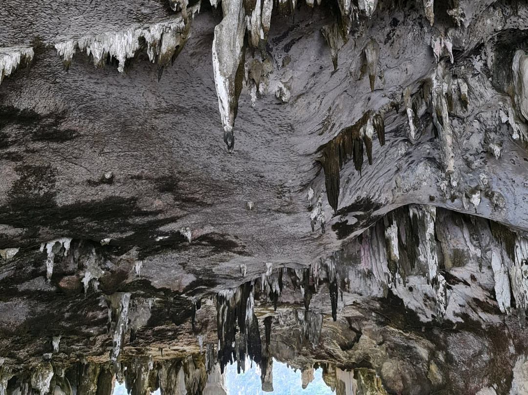 Koh Panak Cave景点图片