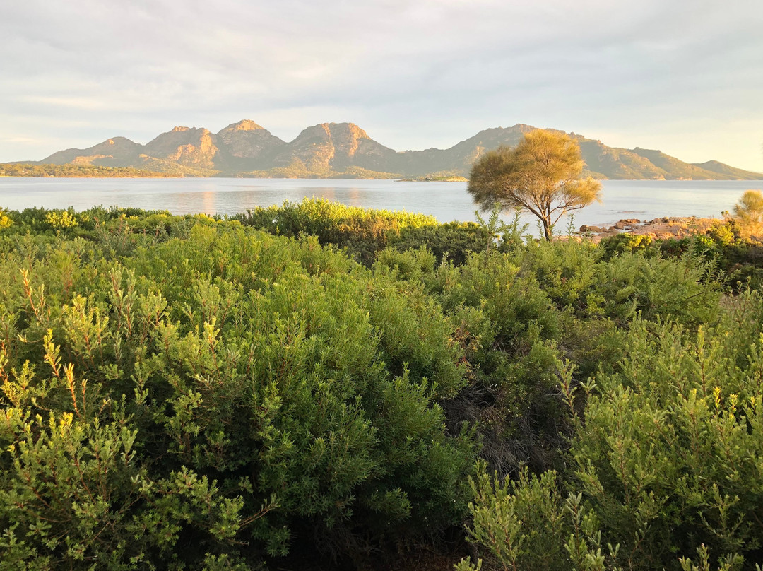 海湾边缘度假村主图