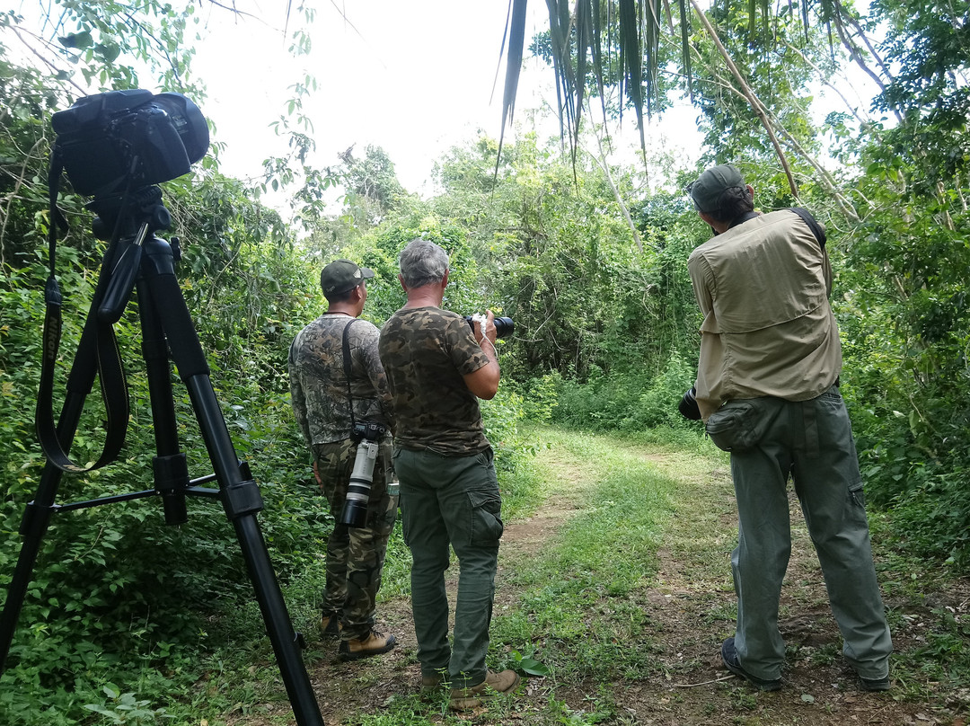 Reserva Toh-从莫雷洛斯港必去景点