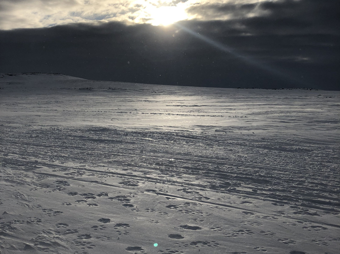 Inukpak Outfitting-Iqaluit必去景点