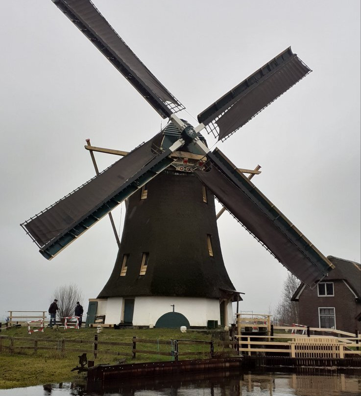 Molen De Onrust, Alias Meermolen景点图片