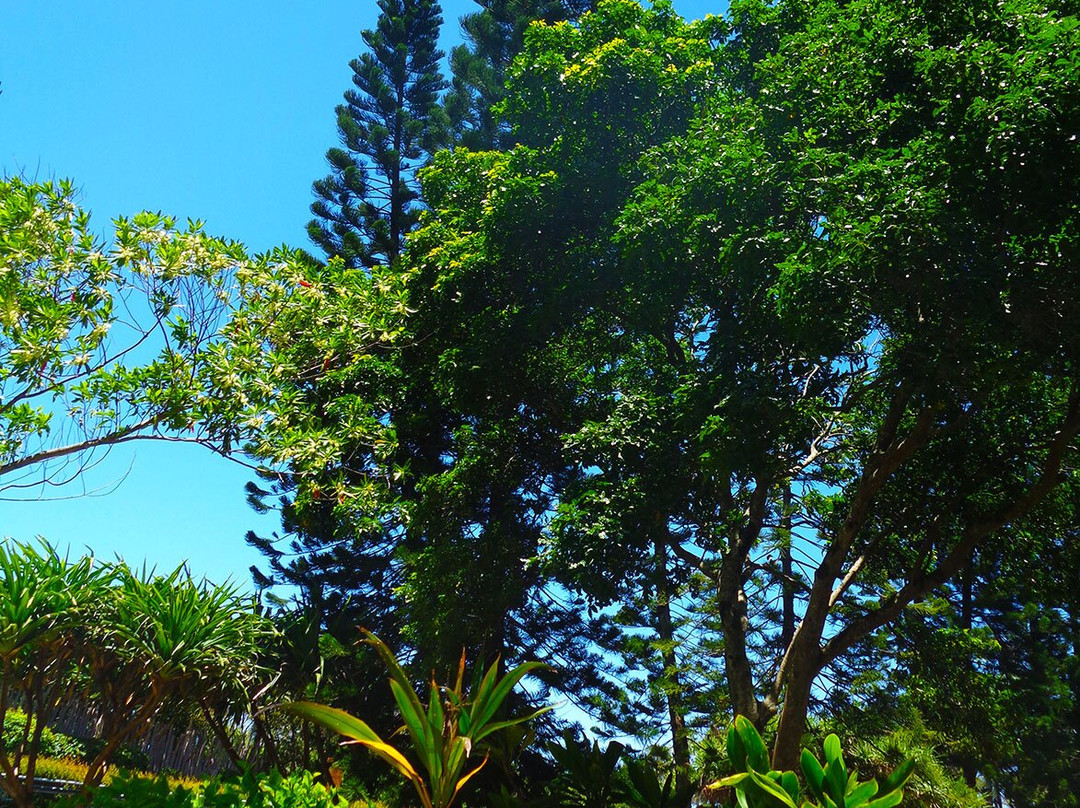 Tjibaou Cultural Center-努美阿必去景点
