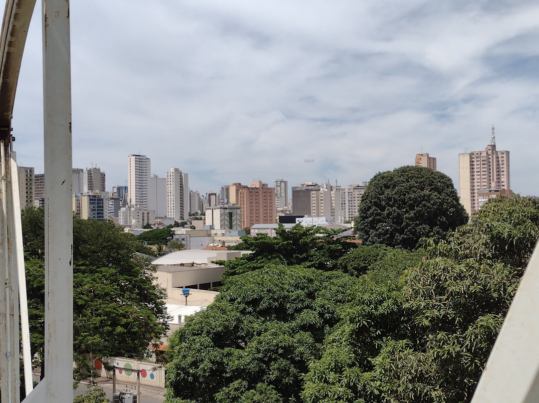 Mutirama Park-戈亚尼亚必去景点