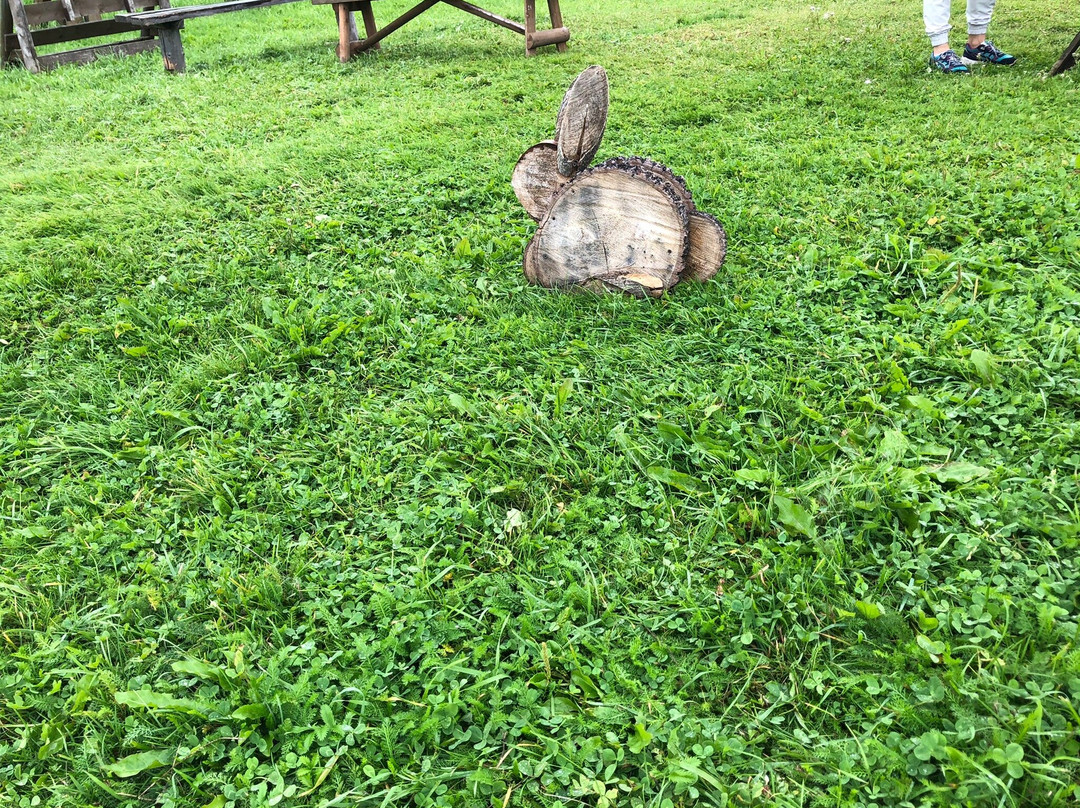 All-Russian Museum of History and Ethnography-Torzhok必去景点