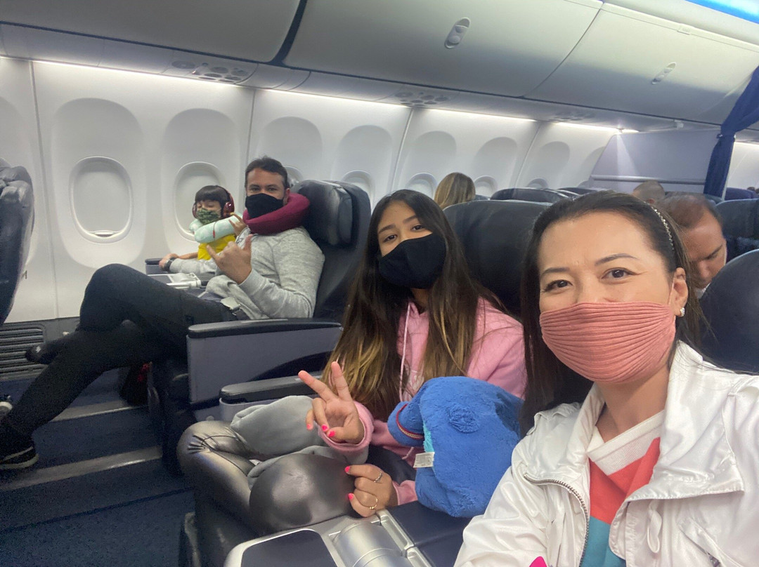 Doutor Viagem-累西腓必去景点