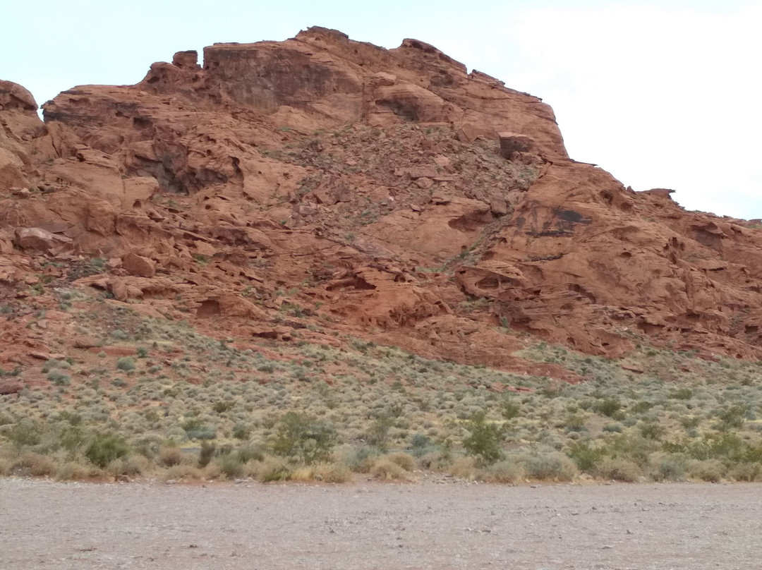 The Beehives-欧弗顿必去景点