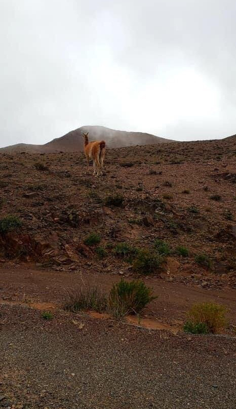 Cuesta del Obispo-萨尔塔必去景点