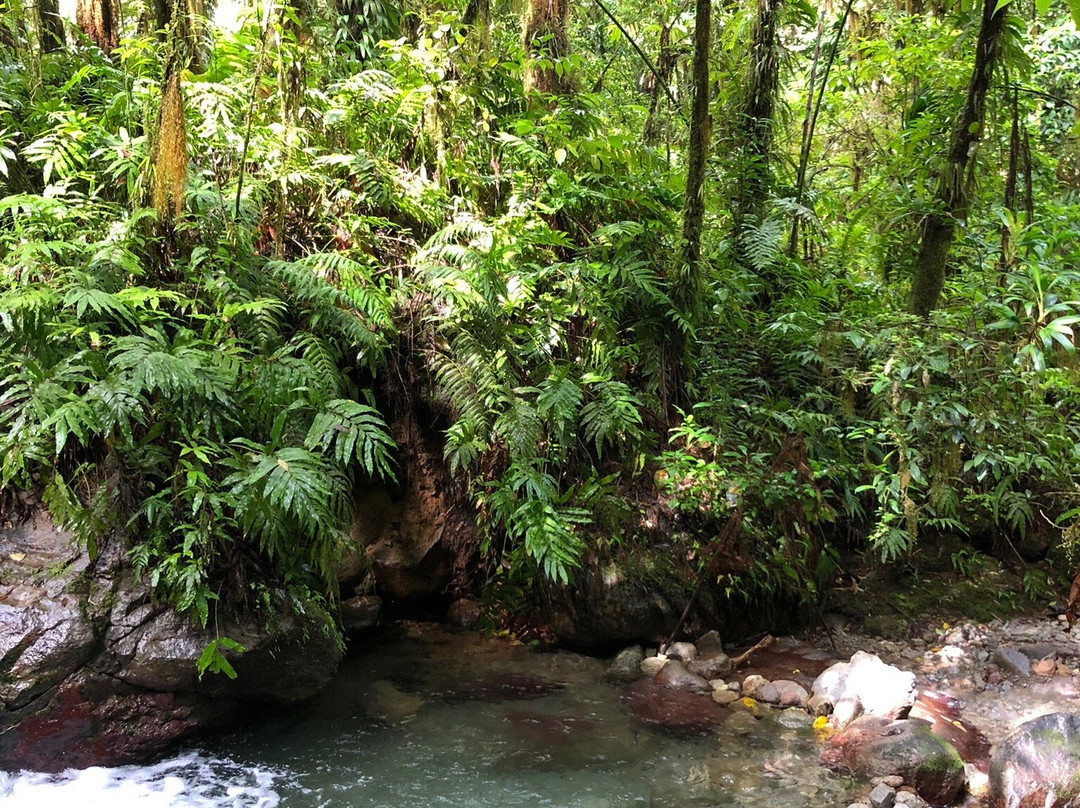 MARTINIQUE BEST SECRET-Saint-Joseph必去景点