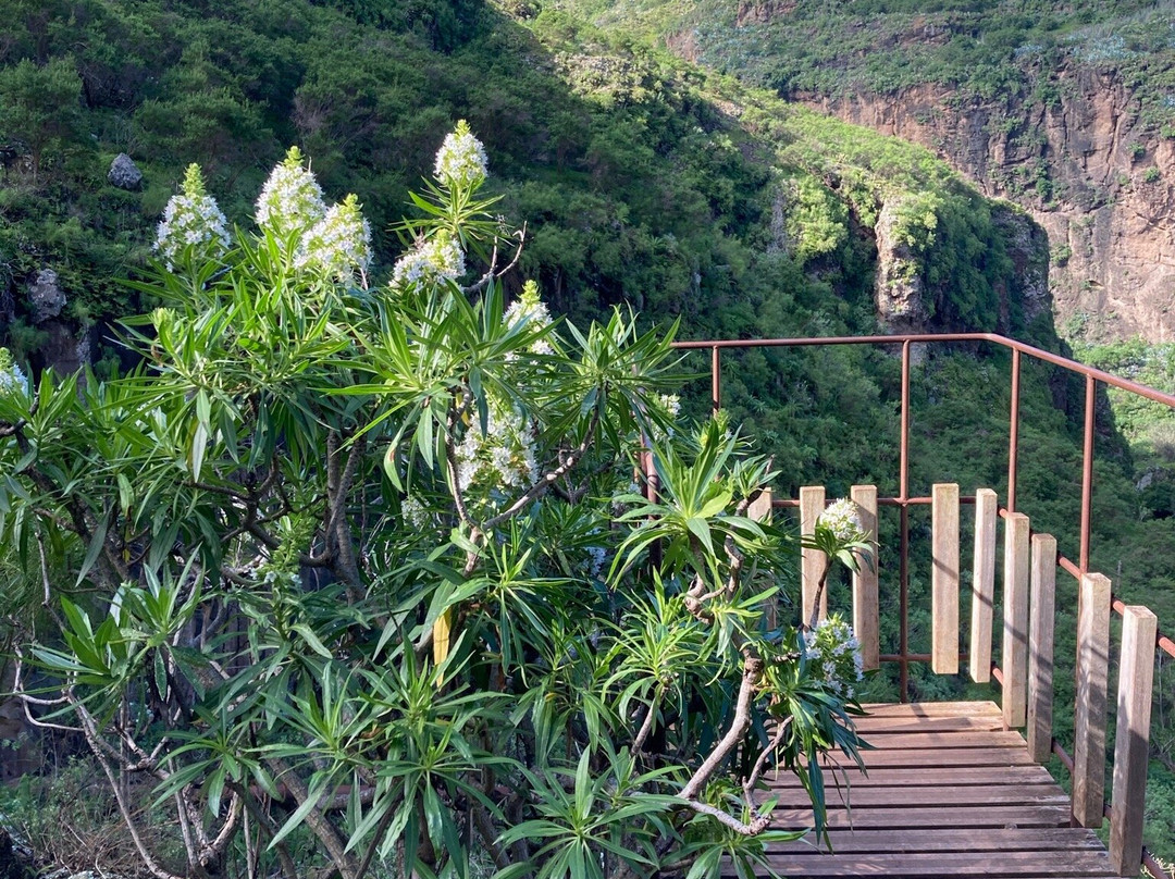 Barranco de Azuaje景点图片