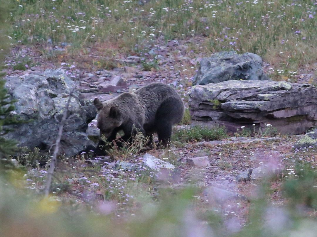 Granite Park Chalet主图