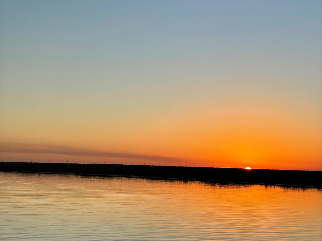 Happiness Bayou Tours-新奥尔良必去景点