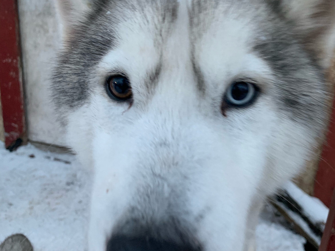 Powder Apart Hotel主图