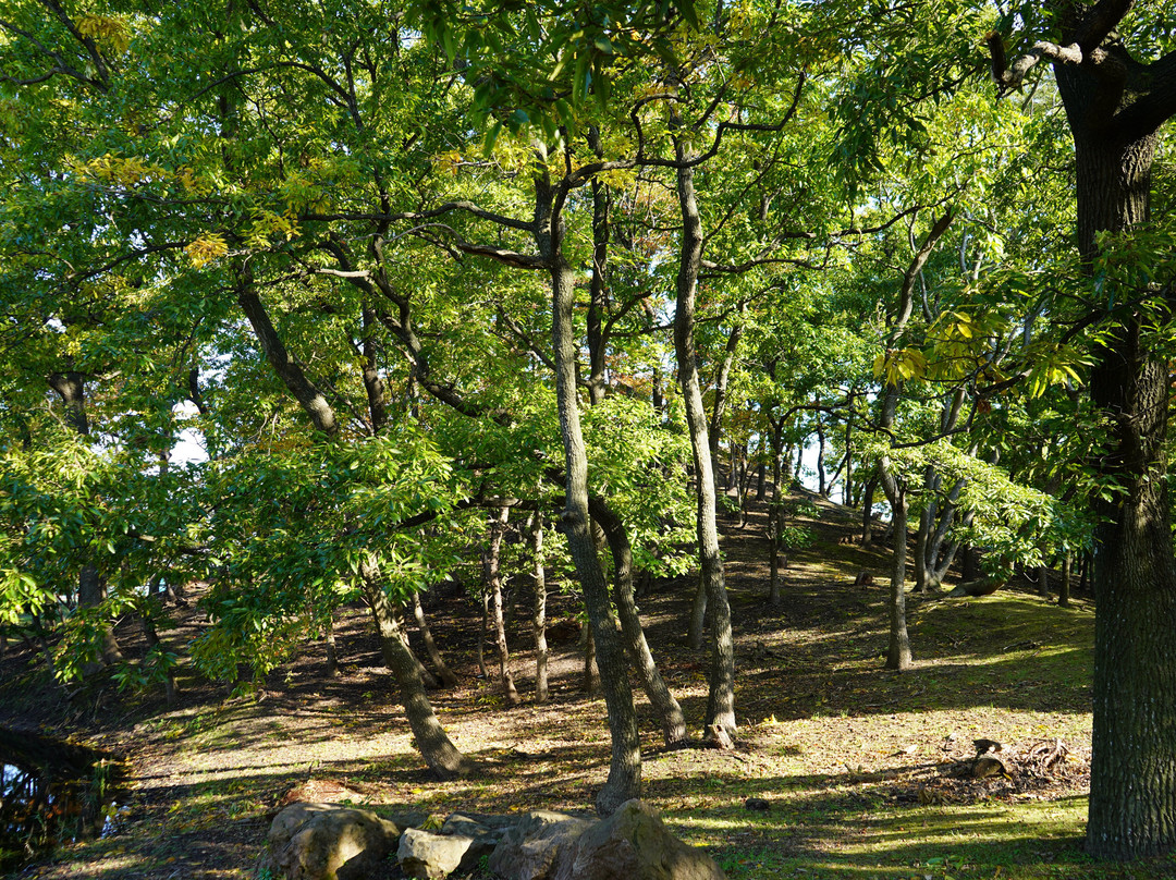 Former Site of Ichikawa Shrine-圣笼町必去景点