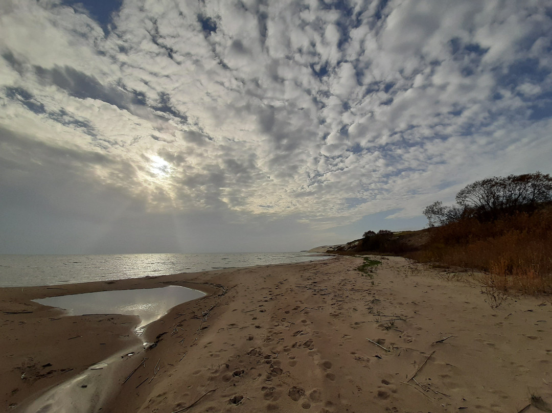 Curonian Spit Retreat景点图片