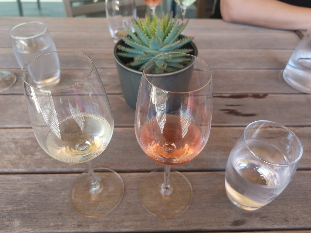 Winelands Art: Sips & Sights Day Tours-斯泰伦博斯必去景点