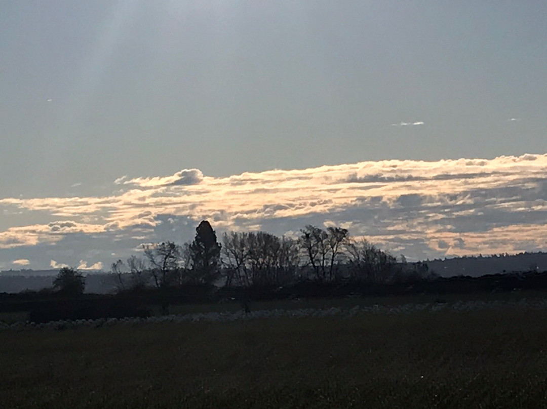 Skagit Wildlife Area景点图片