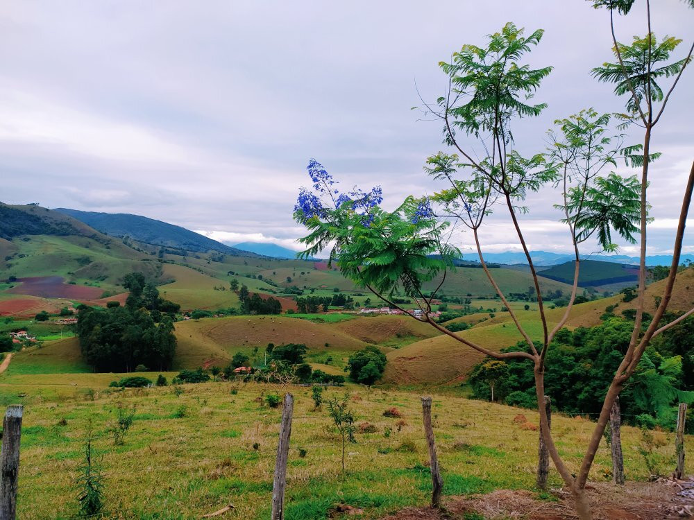 Quinta Do Papagaio主图