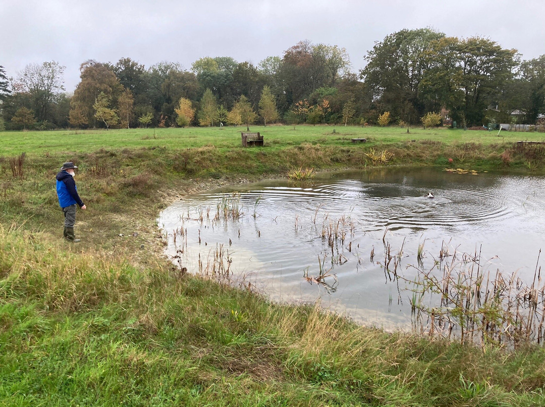 Flixton旅游攻略图片