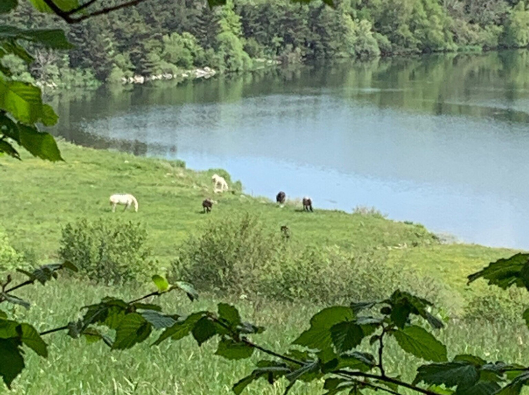 Lac de Saint-Front景点图片
