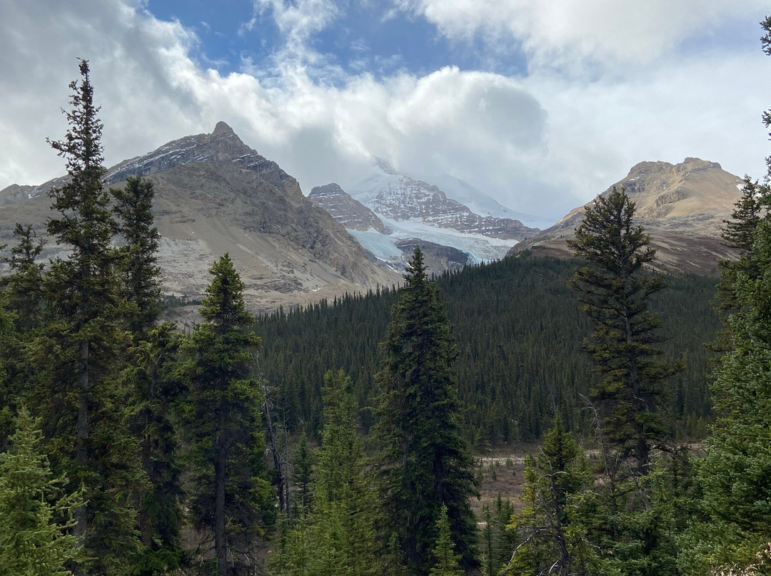 Highway 93A-贾斯珀必去景点