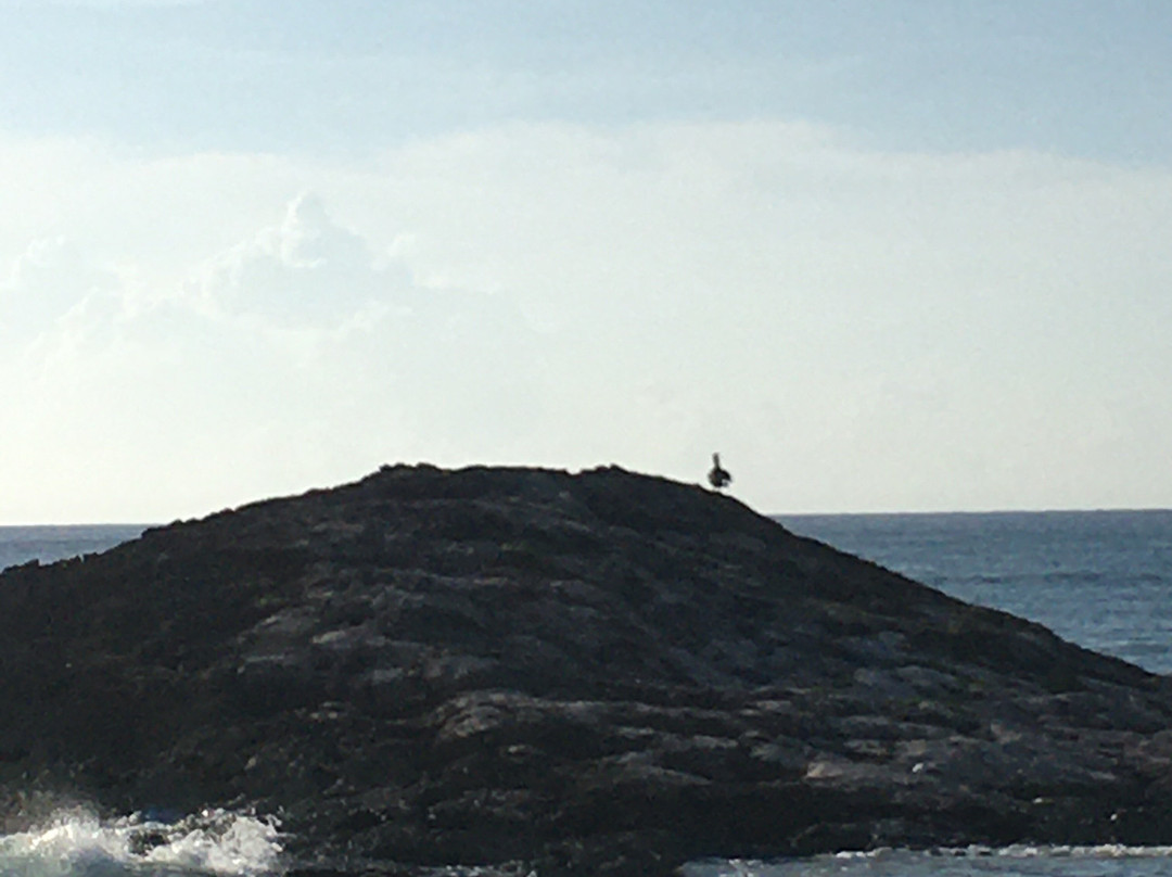 El Pez Boutique Hotel主图