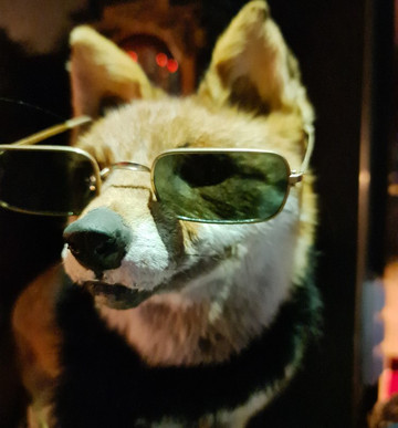 Laval-sur-Vologne旅游攻略图片