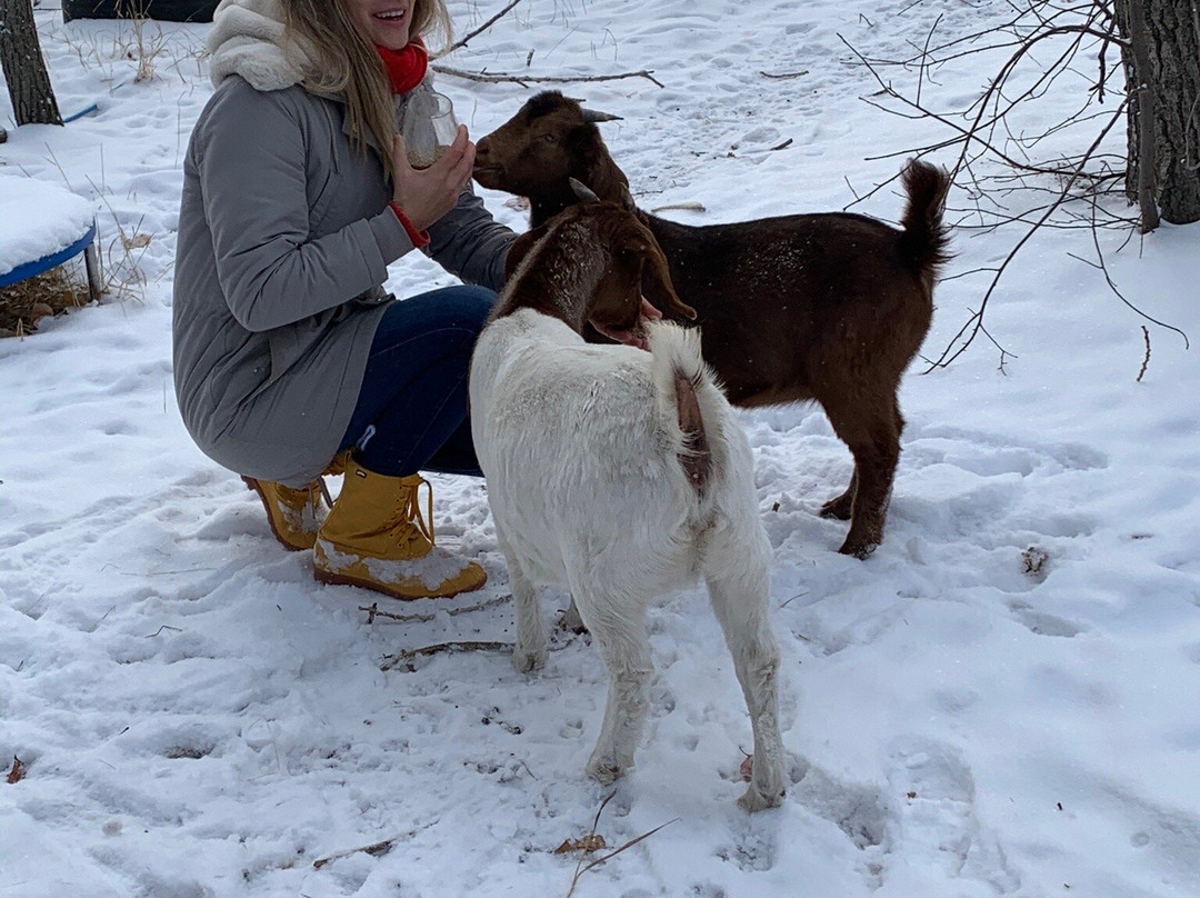 Tullamore Alive主图