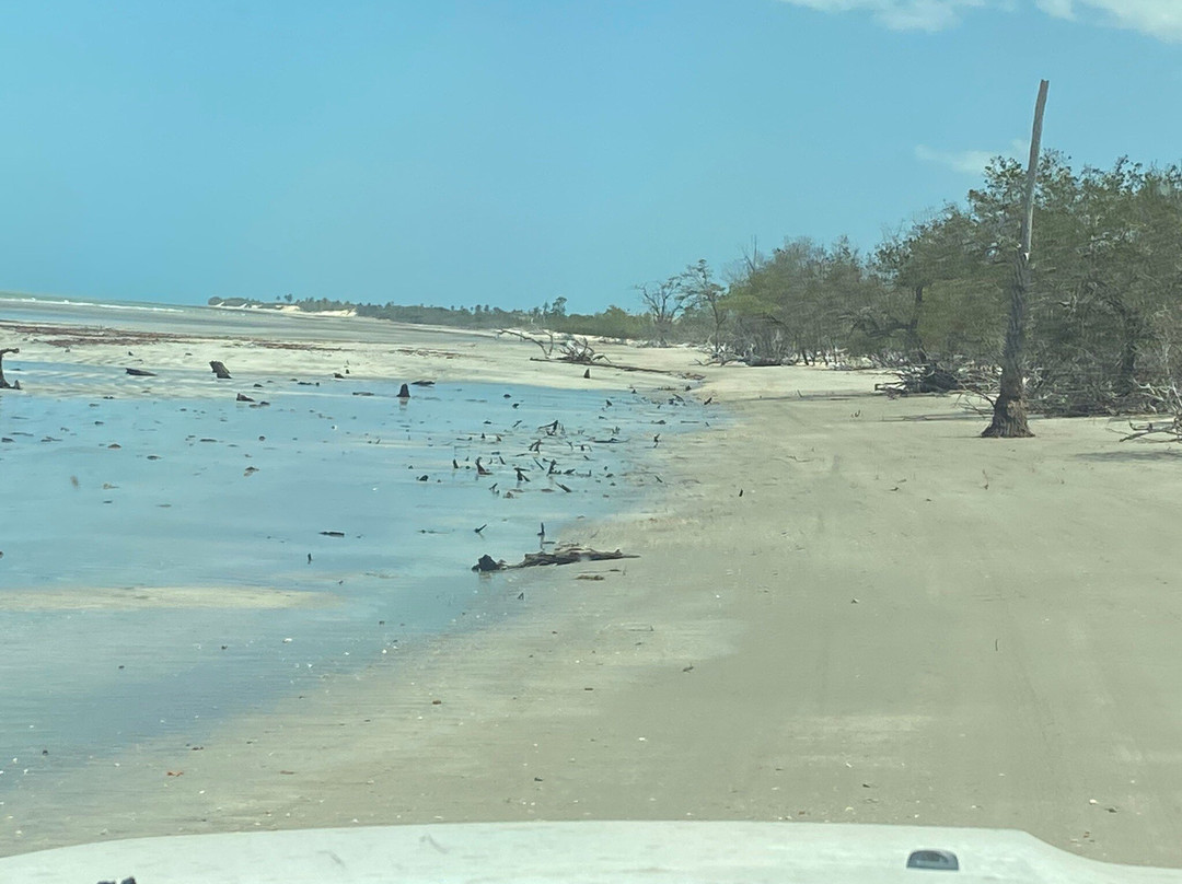 Ilha do Amor Beach-Camocim必去景点