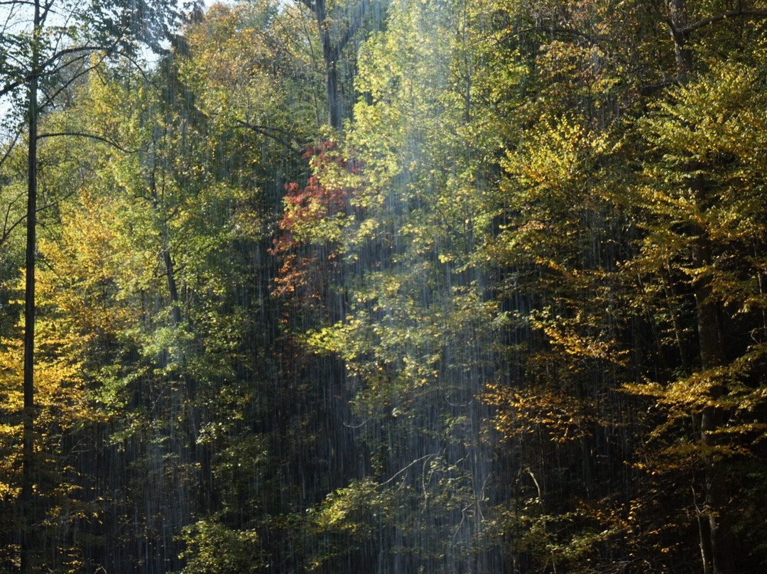 Piney Creek Falls-Spencer必去景点