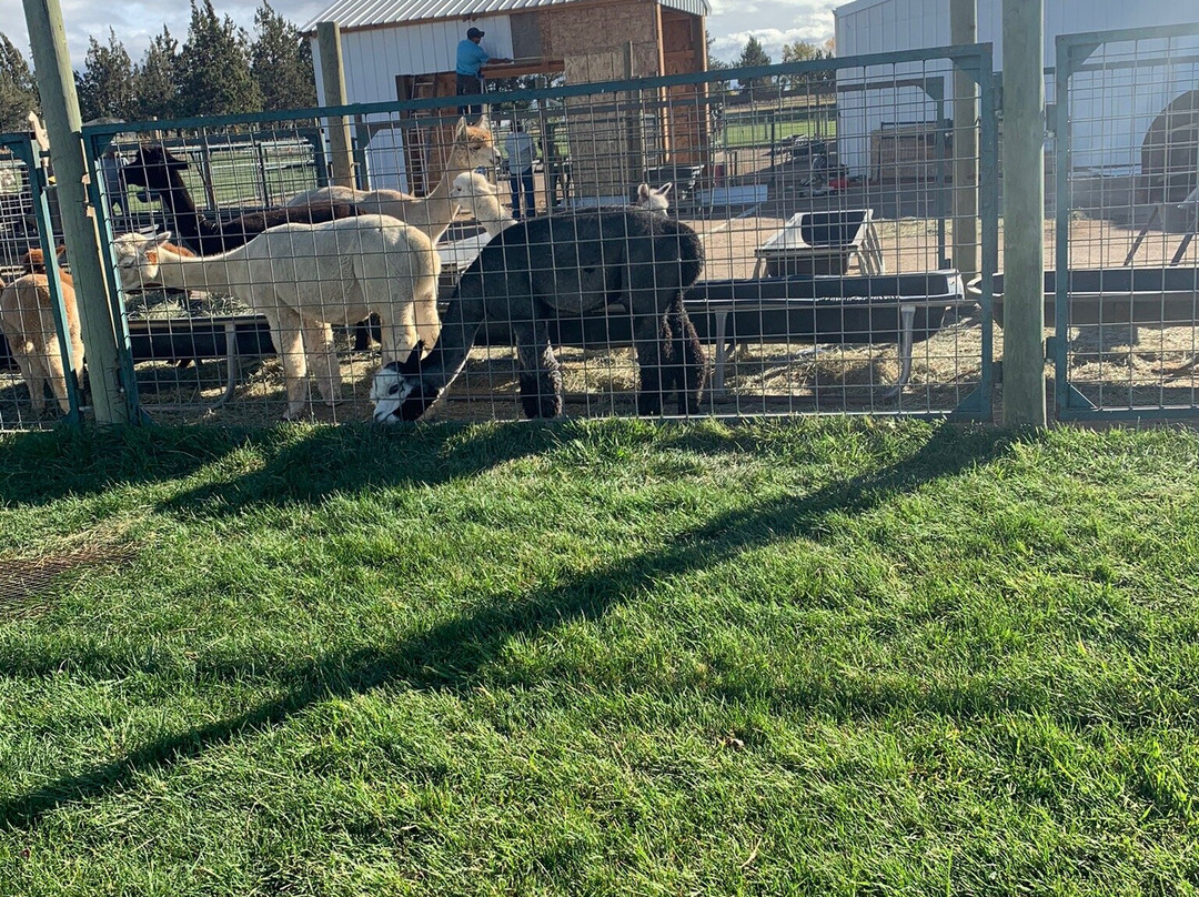 Crescent Moon Ranch-Terrebonne必去景点